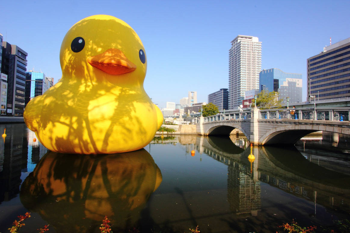 Rubber Duck Art, Education Closet