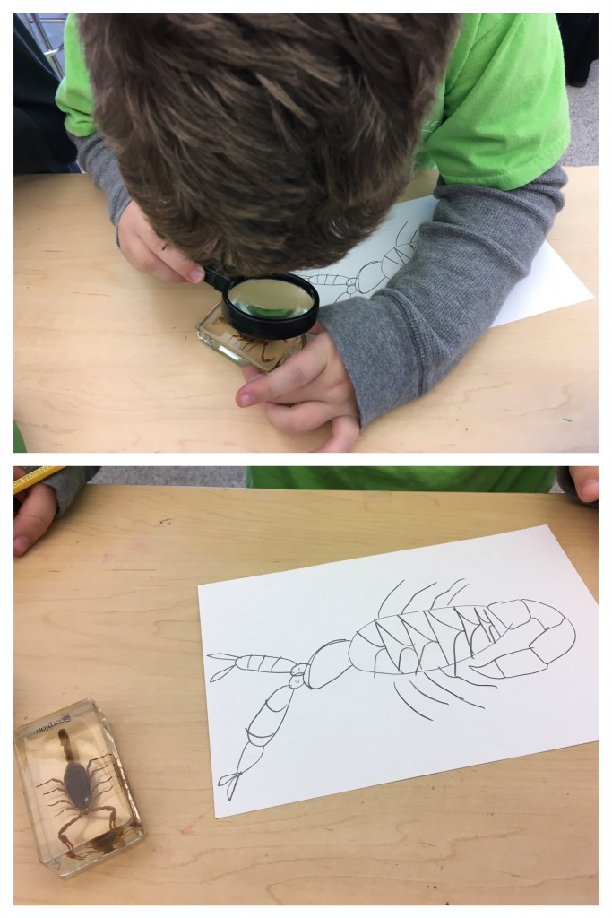 Student examining specimens, Education Closet